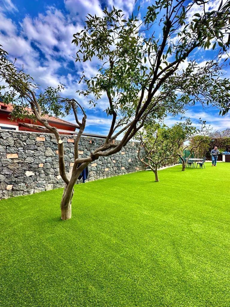 Apartamento de 120 m² en Mascalucia, con 2 habitación Exterior foto